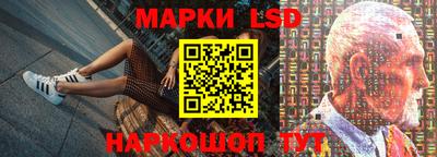 стаф Берёзовский