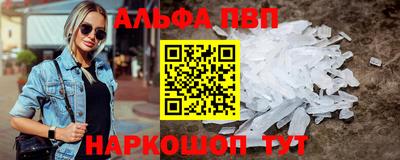 стаф Берёзовский