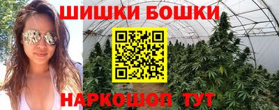 стаф Берёзовский