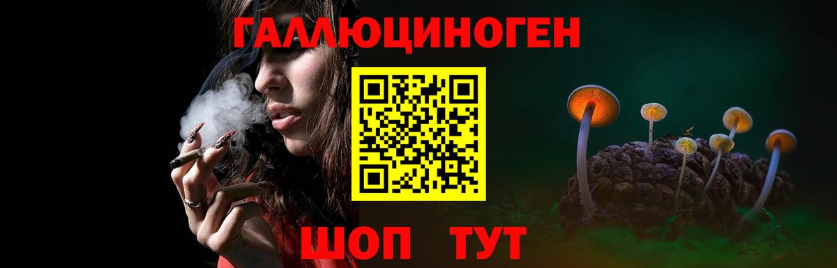 Псилоцибиновые грибы мицелий  как найти наркотики  Псилоцибиновые грибы мицелий  Камень-на-Оби  Вход с VPN 
